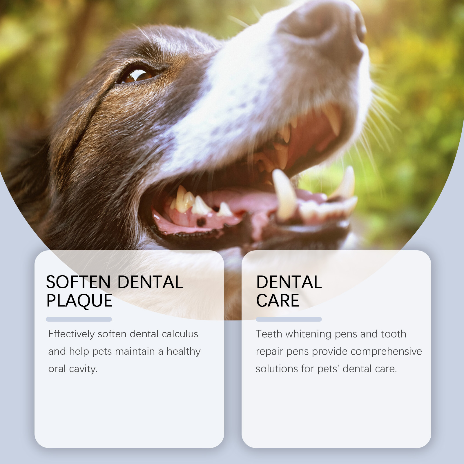 Haustier-Zahnaufhellungsstift- – Teeth Whitening Pens Bewertung und Preis
