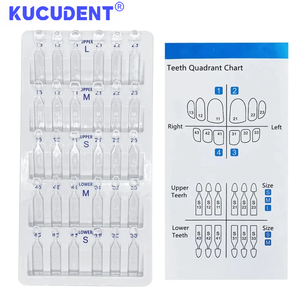30 Stück/Set Dental-Furnierfor – Teeth Whitening Moulds Bewertung und Preis